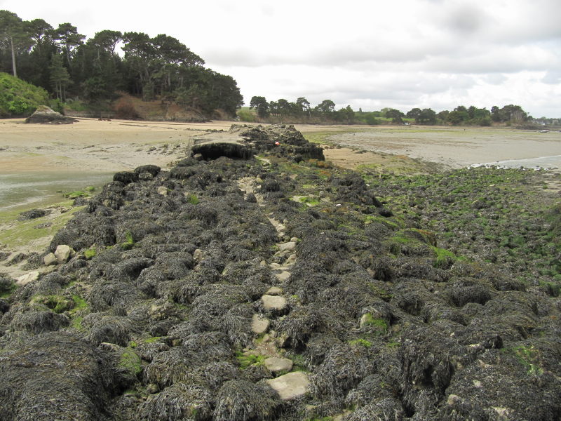 Die Rotheneuf-Bucht ohne Wasser 5