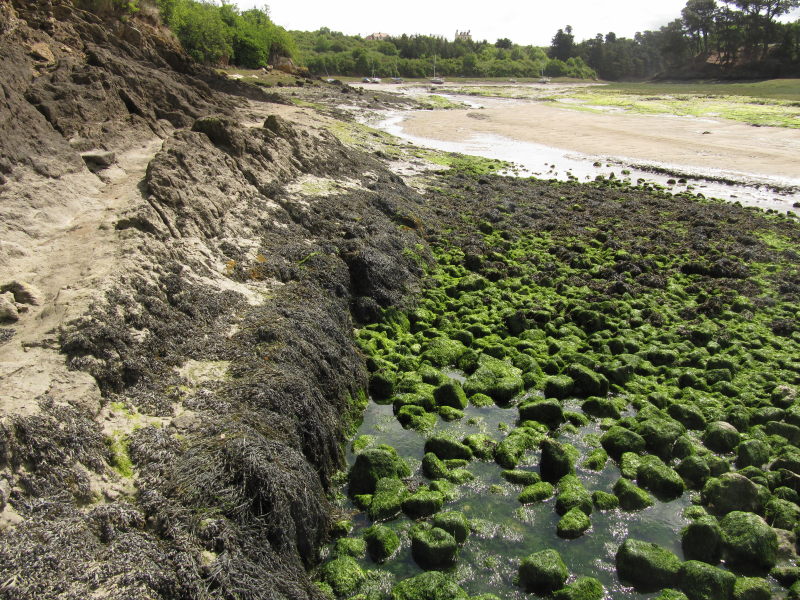 Die Rotheneuf-Bucht ohne Wasser 6