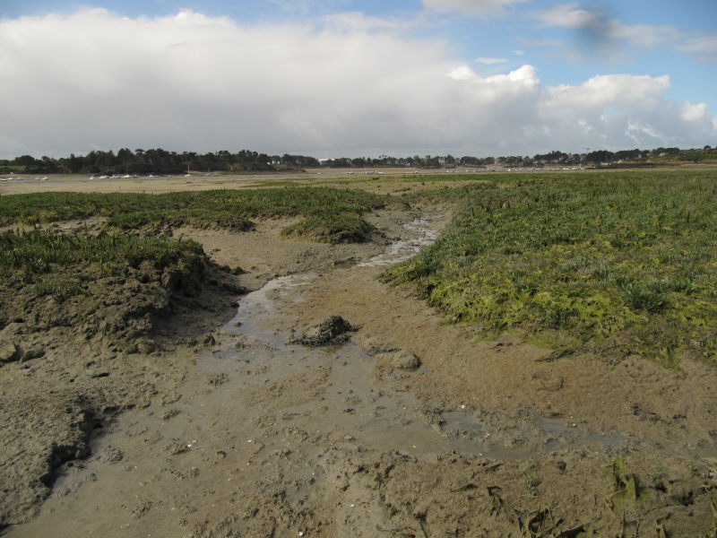 Die Rotheneuf-Bucht ohne Wasser 10