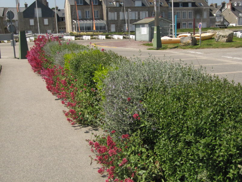 Saint Vaast Hafen 3