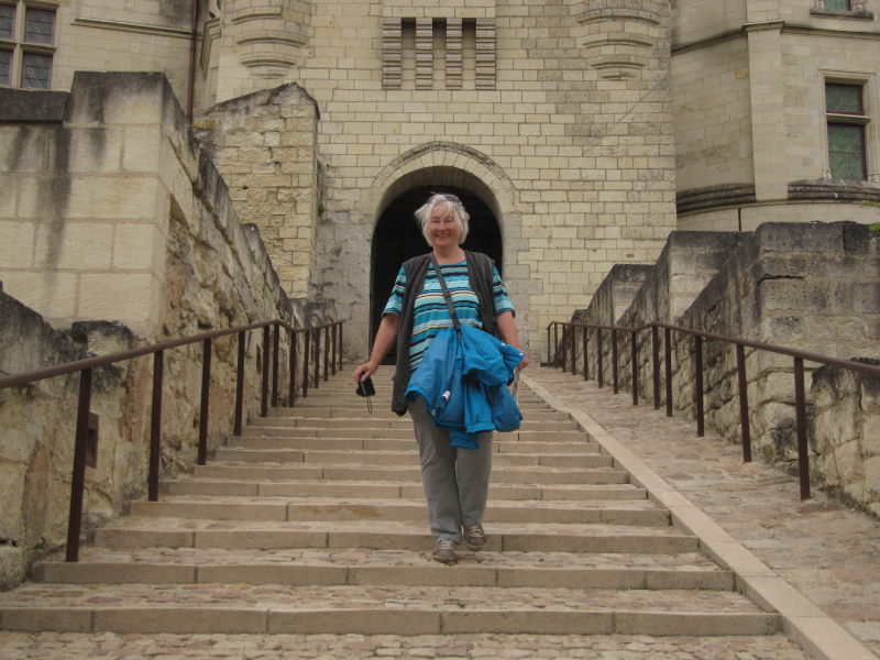 Schloss Saumur außen 9