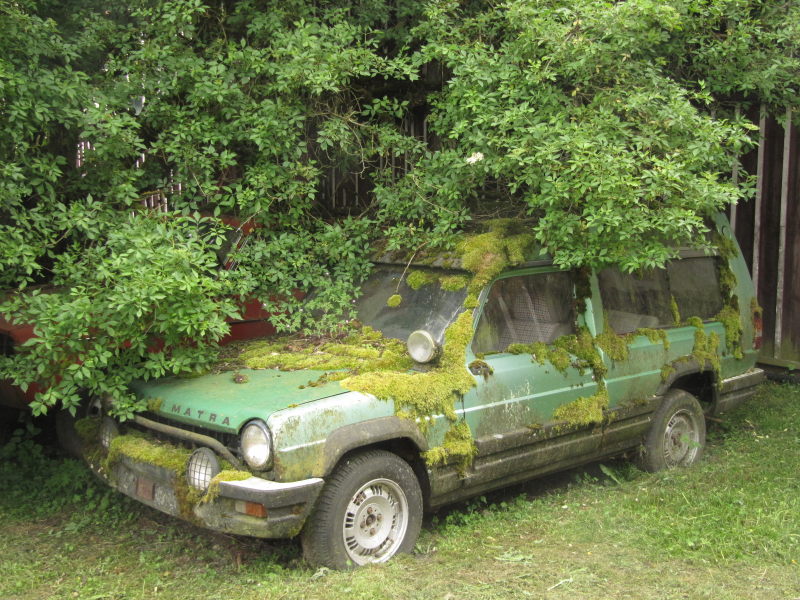 Zugewachsener Simca Matra Bagheera