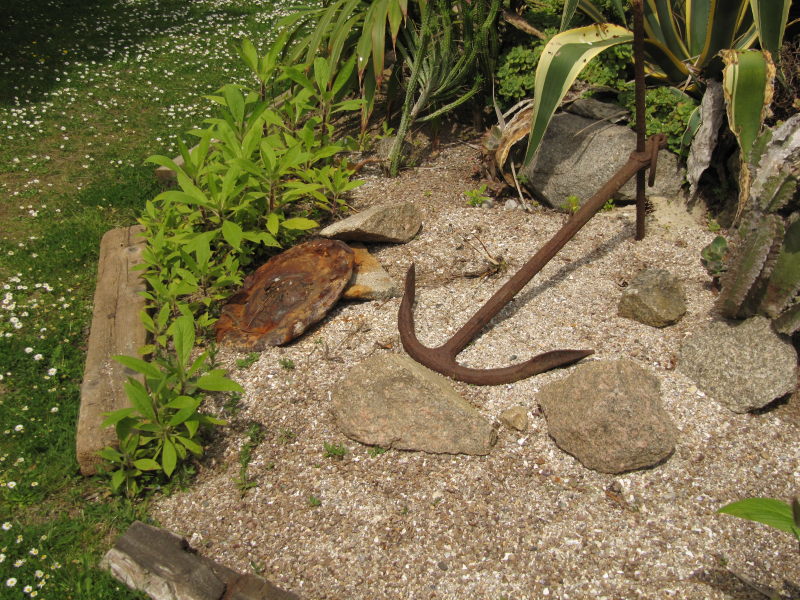 Tatihou Botanischer Garten 6