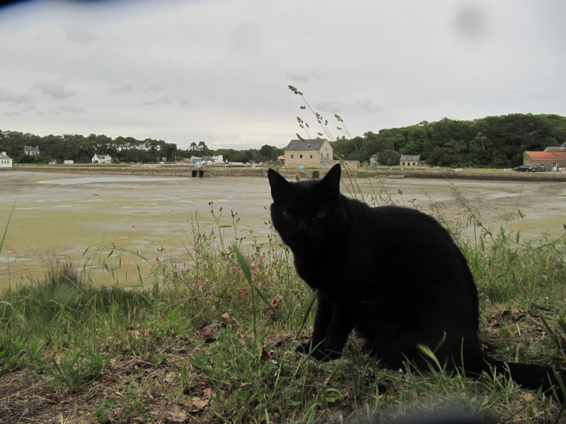 Campingplatz La Lac - kein Wasser