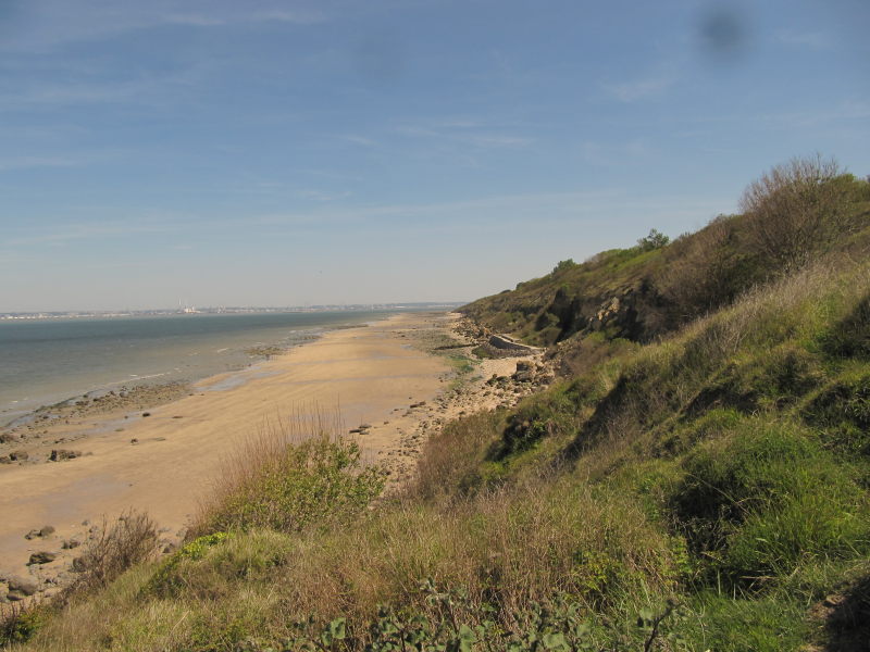 Strand am Campingplatz Vogelsang 