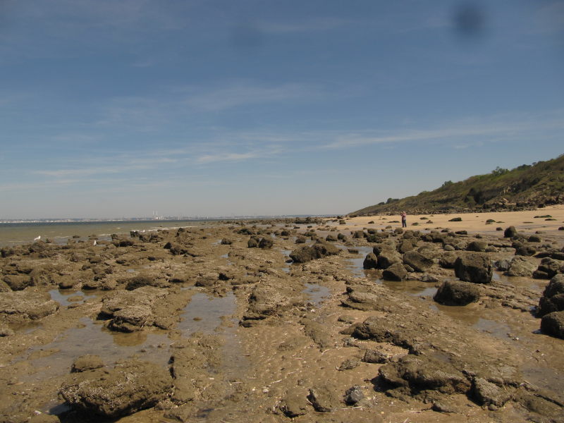 Strand am Campingplatz Vogelsang 