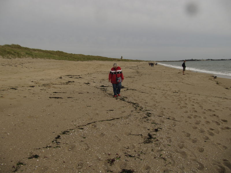 Der STrand zum Campingplatz