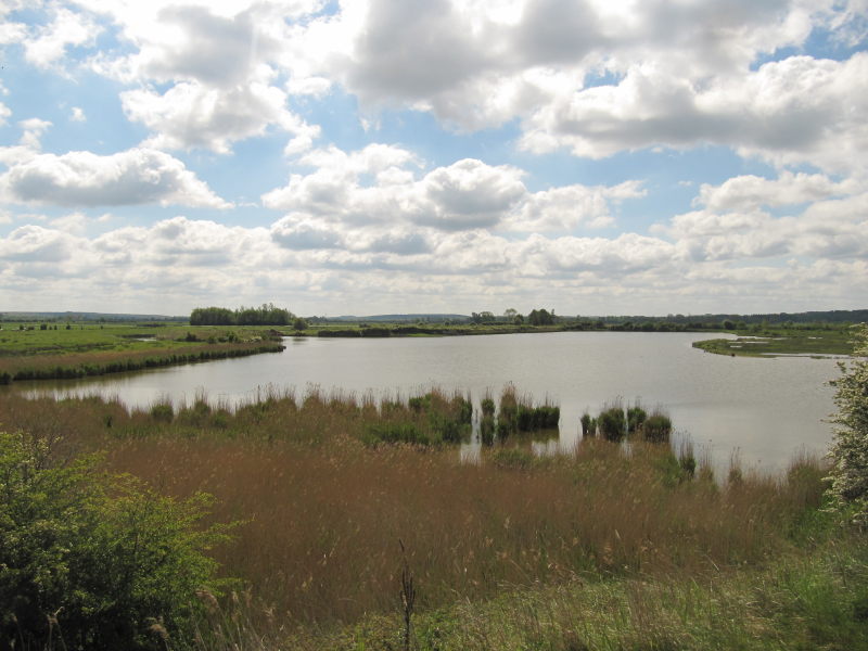 Zugfahrt durchs Somme-Delta 3