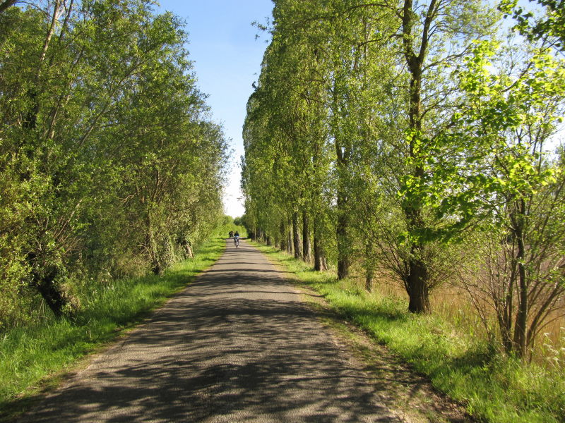 Fahrt durch dir Felder