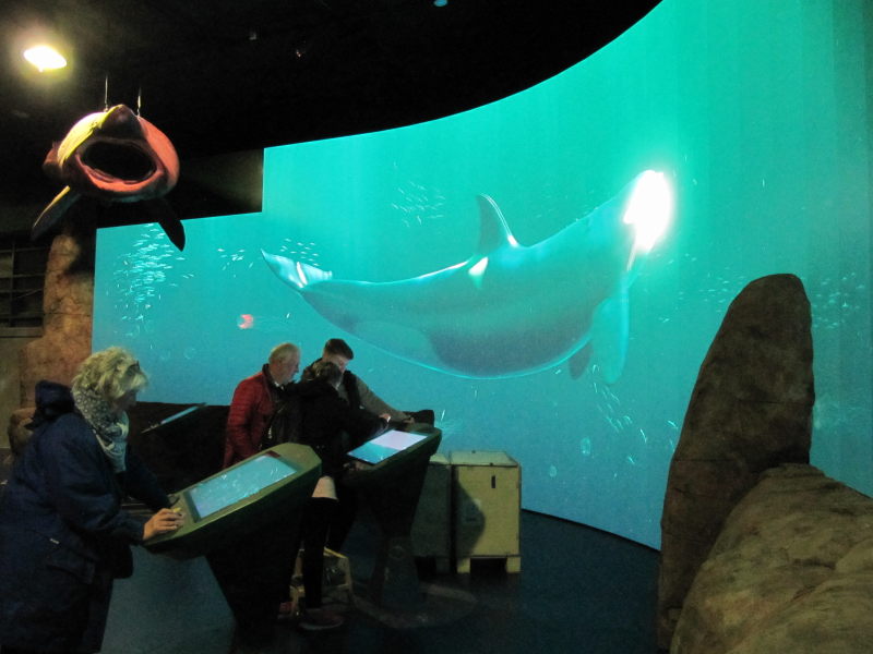 Hirtshals Oceanarium 8