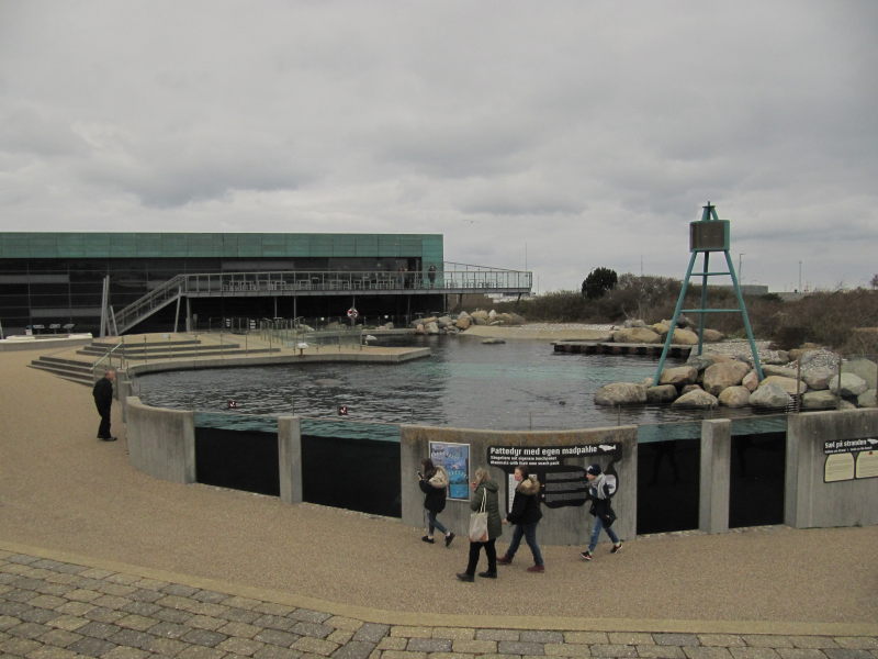 Hirtshals Oceanarium 9