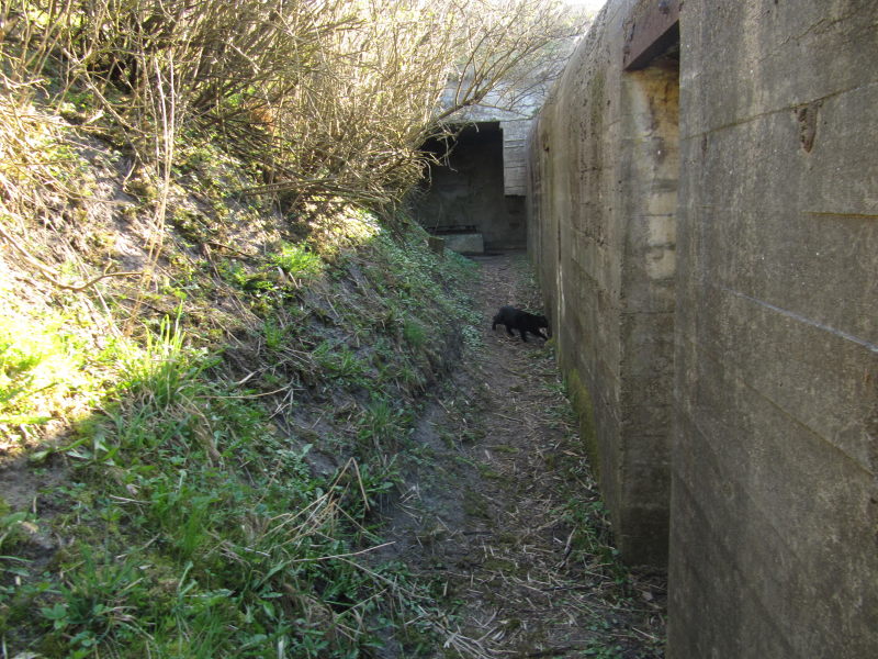 Hirtshals Bunker