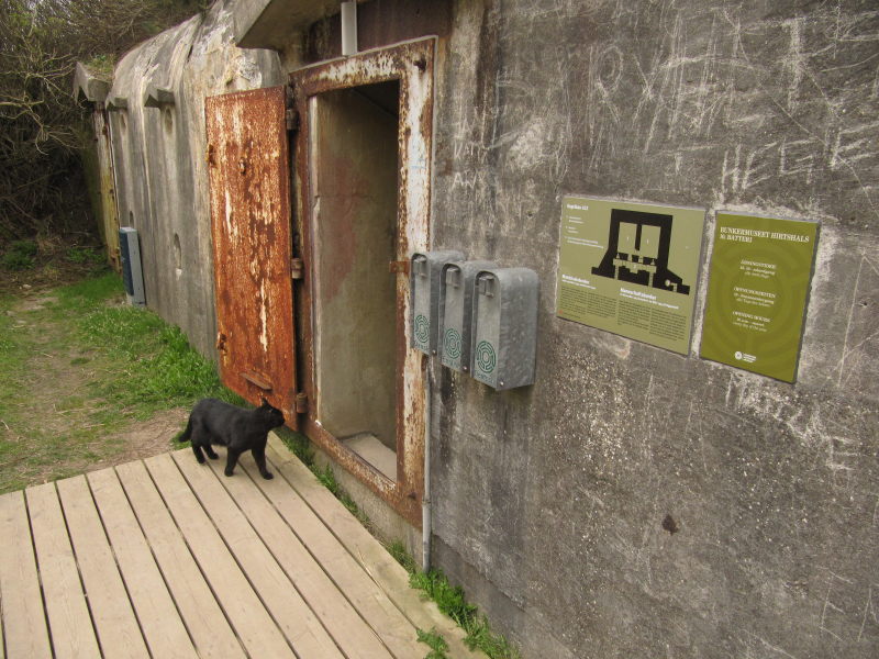 Bunkermuseum Hirtshals 1