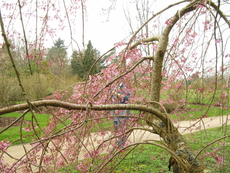 Kolding - Botanischer Garten 7