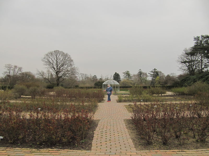 Kolding - Botanischer Garten 8