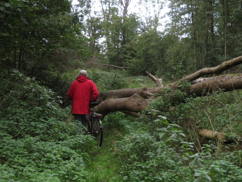 Radtour rund um Bantzelvitz 14