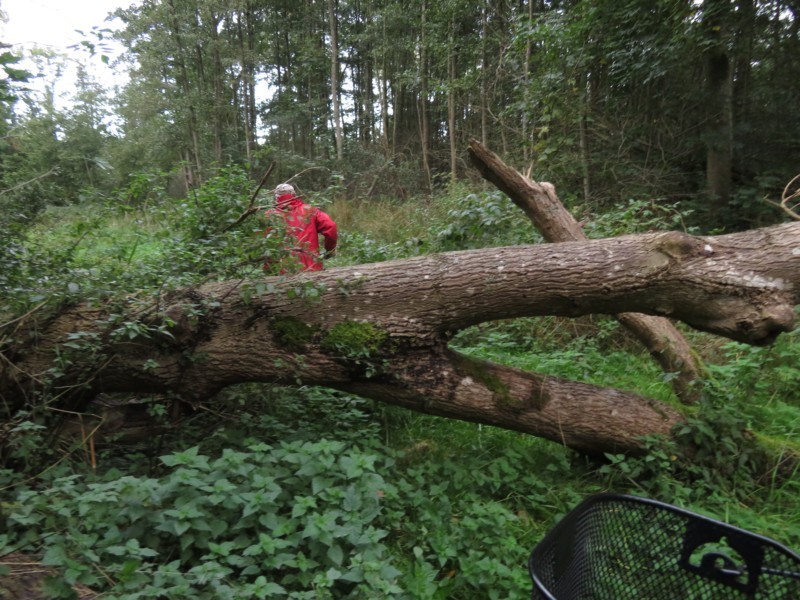 Radtour rund um Bantzelvitz 15