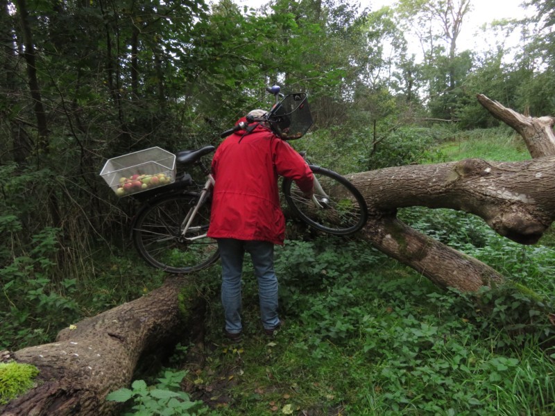 Radtour rund um Bantzelvitz 16