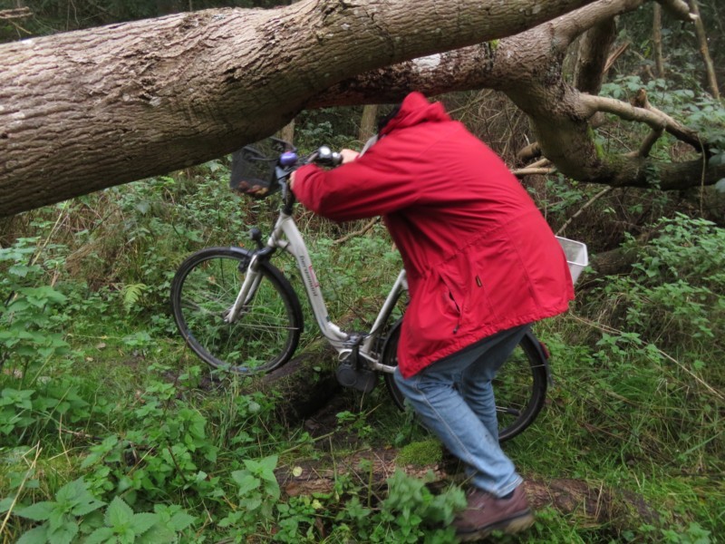 Radtour rund um Bantzelvitz 17