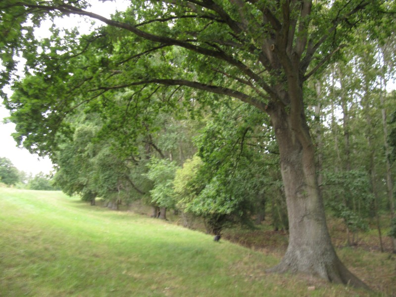 WasserWanderZentrum Spaziergang 1