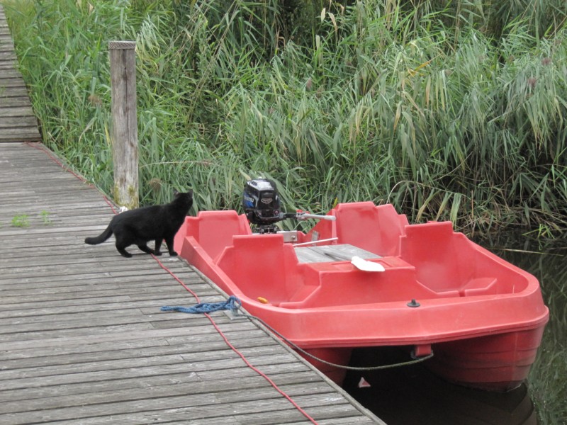 WasserWanderZentrum Spaziergang 5