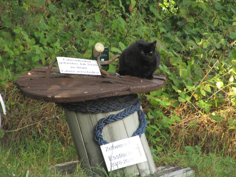 Campingplatz Dömitz Friedhof der Dinge