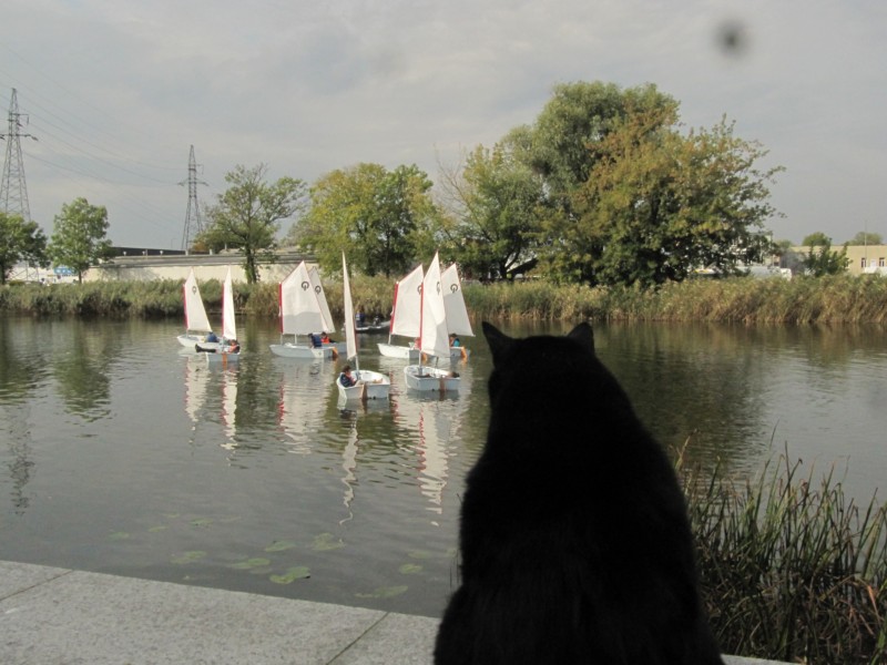 Elblag am Kanal 1