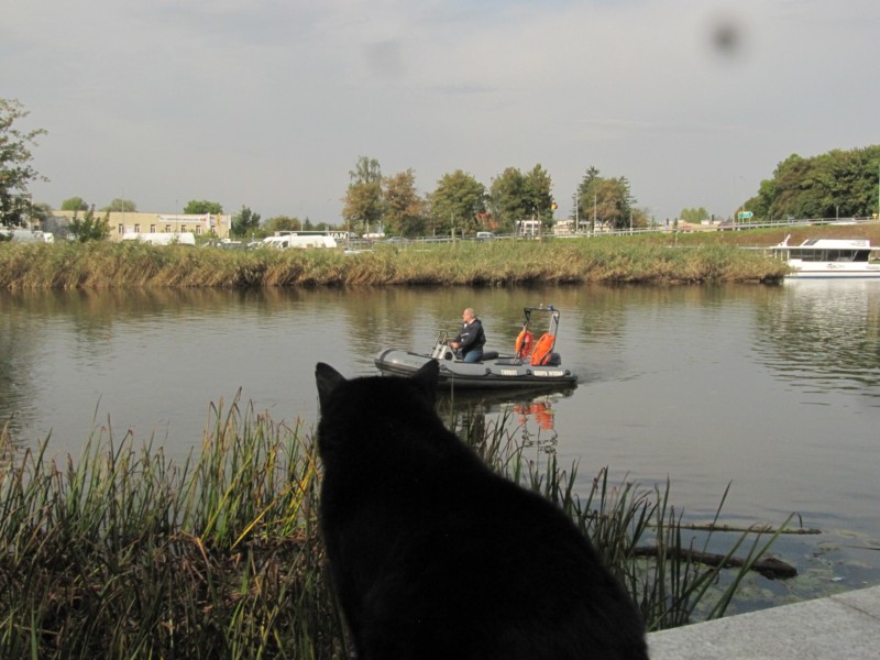 Elblag am Kanal 1