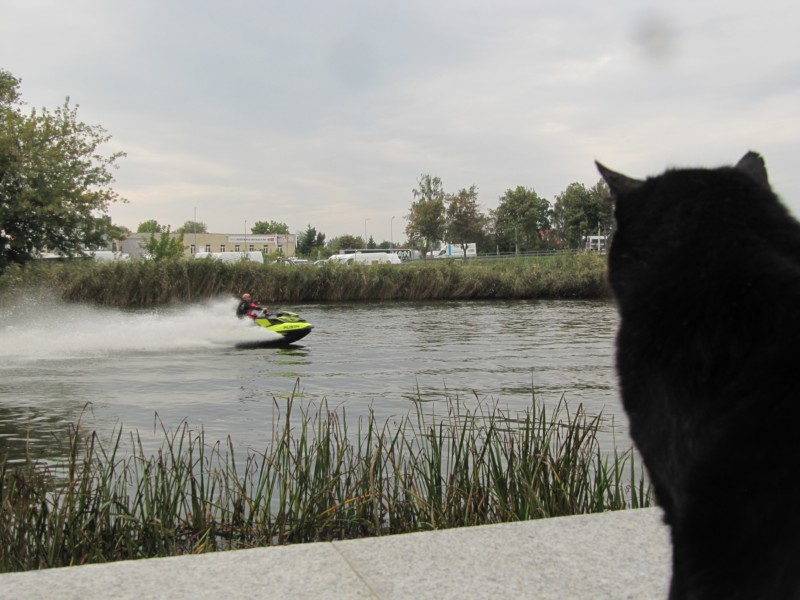 Elblag am Kanal 1