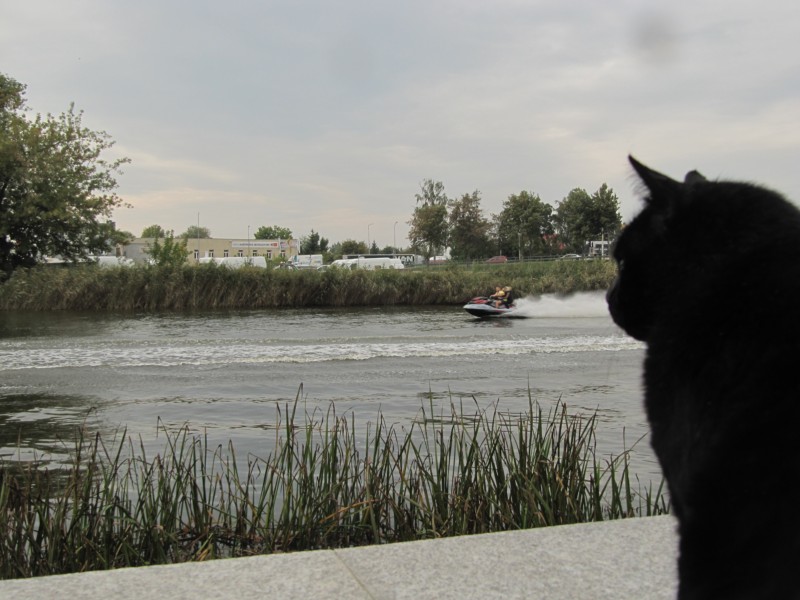 Elblag am Kanal 1