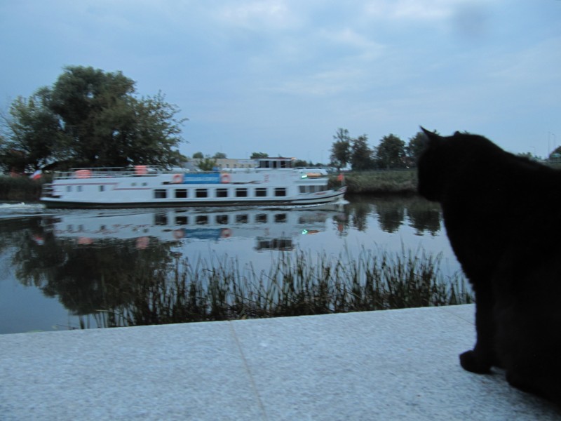 Elblag am Kanal 1