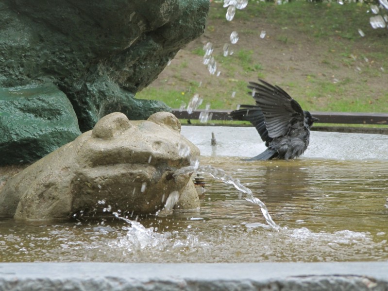 Bilder vom Stadtbummel in Ilawa 18