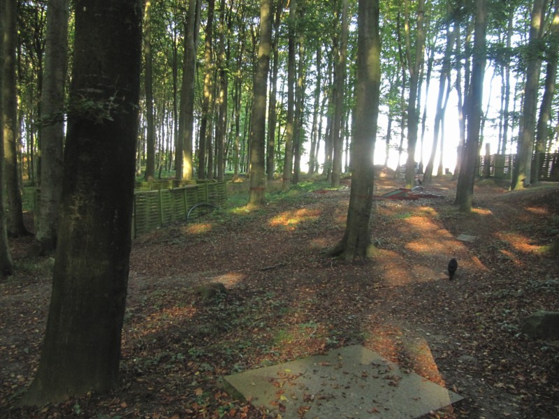 Fußmarsch durch den Nationalpark Jasmund 2