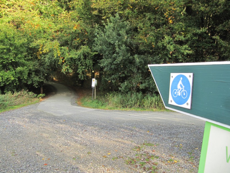 Fußmarsch durch den Nationalpark Jasmund 3