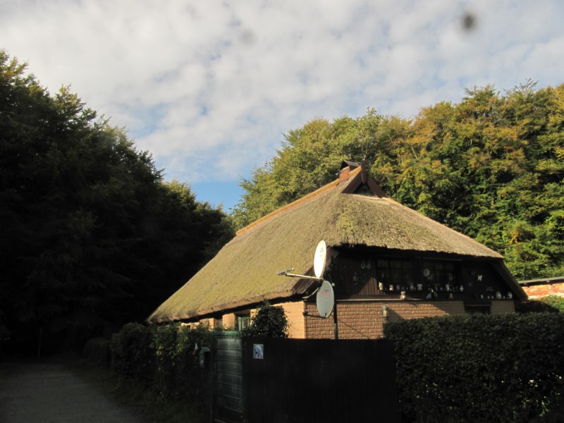 Fußmarsch durch den Nationalpark Jasmund 3