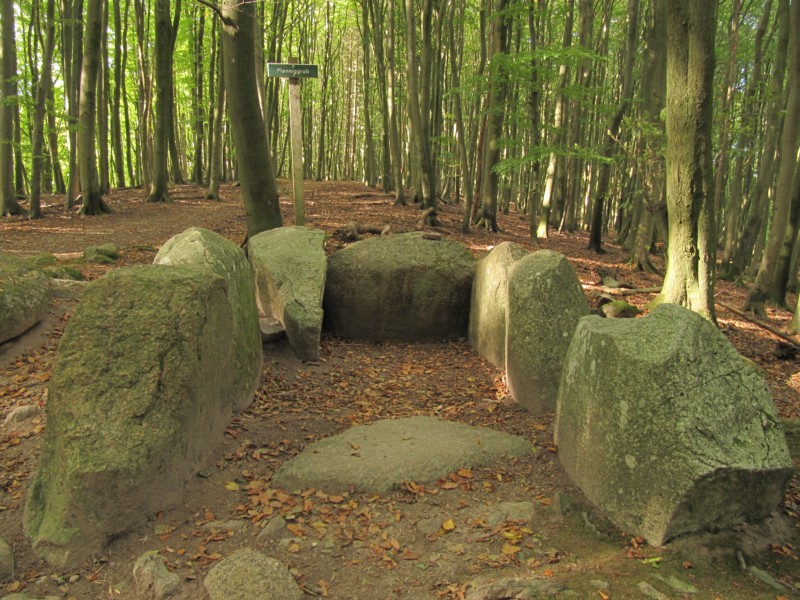 Fußmarsch durch den Nationalpark Jasmund 3