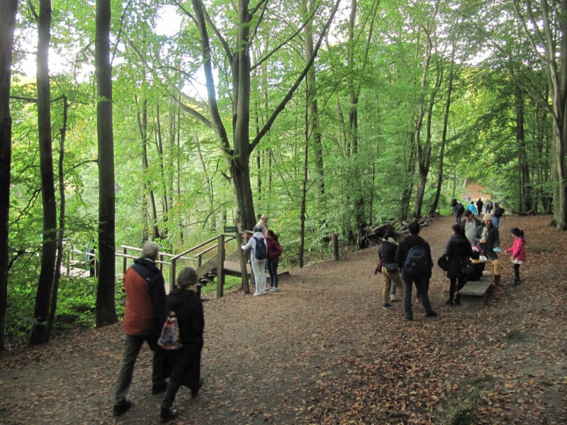 Fußmarsch durch den Nationalpark Jasmund 3