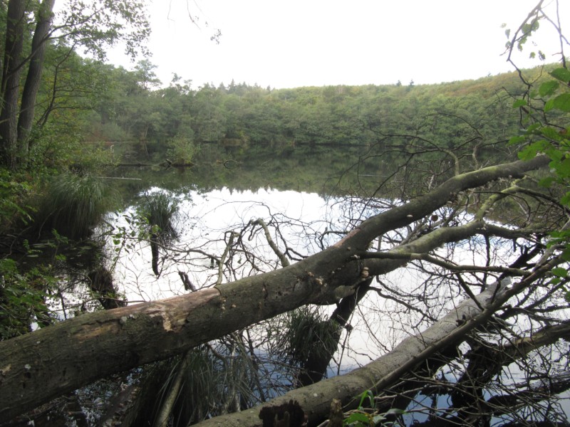 Fußmarsch durch den Nationalpark Jasmund 3