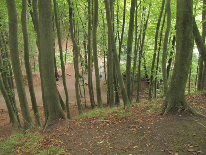 Fußmarsch durch den Nationalpark Jasmund 3