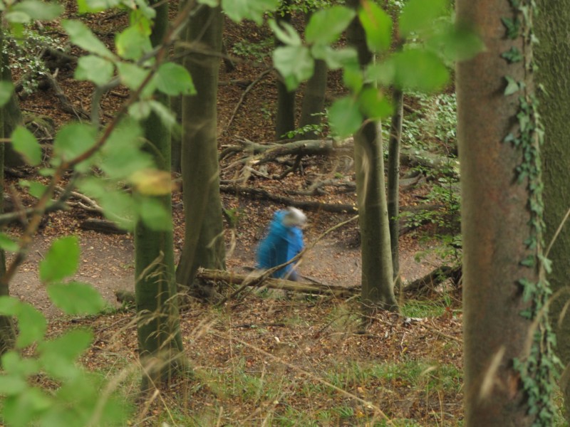 Fußmarsch durch den Nationalpark Jasmund 3