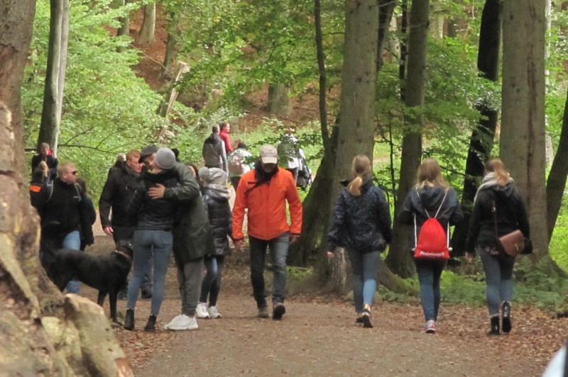 Fußmarsch durch den Nationalpark Jasmund 3