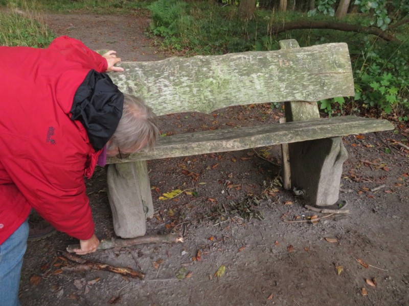 Fußmarsch durch den Nationalpark Jasmund 3