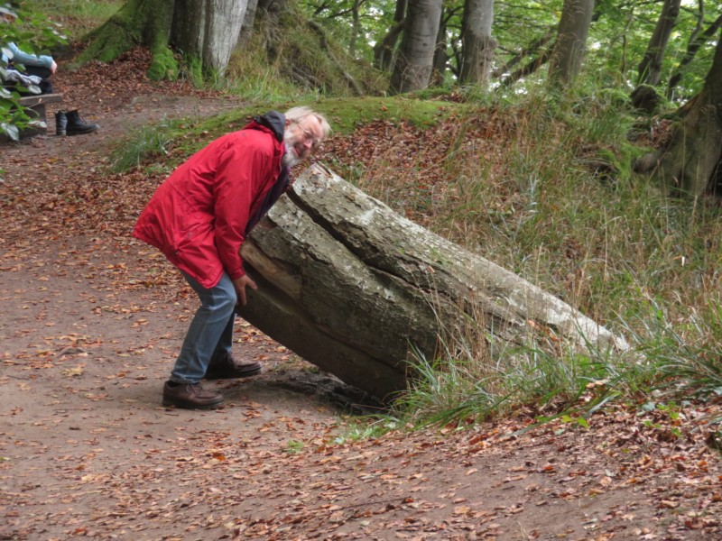 Fußmarsch durch den Nationalpark Jasmund 3