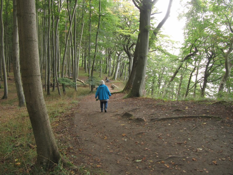 Fußmarsch durch den Nationalpark Jasmund 3