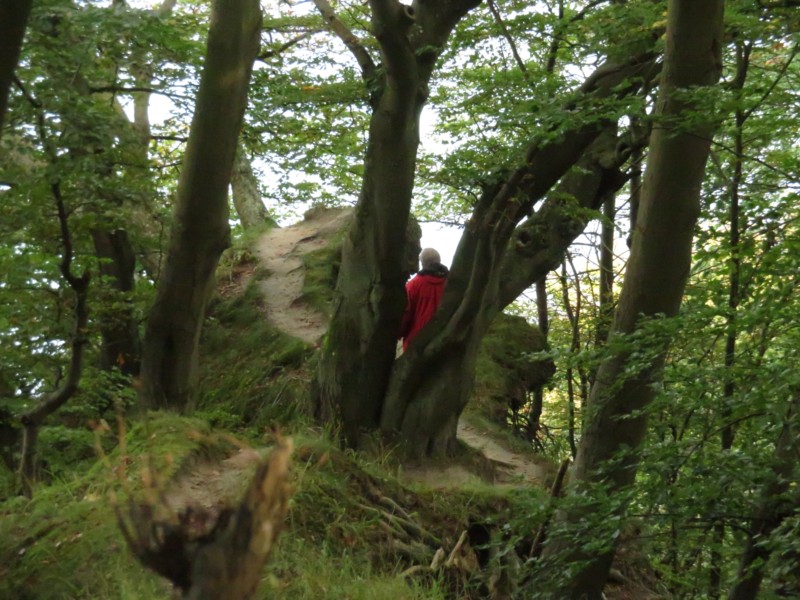 Fußmarsch durch den Nationalpark Jasmund 3