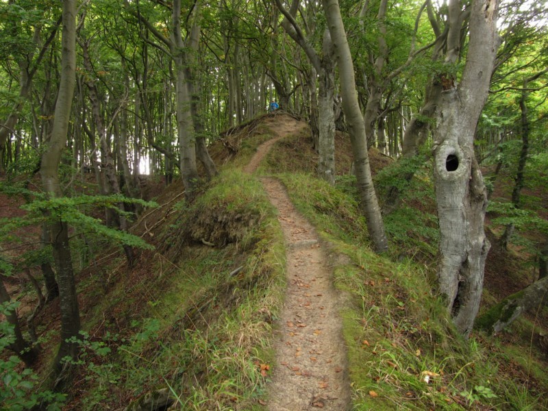 Fußmarsch durch den Nationalpark Jasmund 3