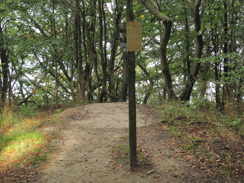 Fußmarsch durch den Nationalpark Jasmund 3