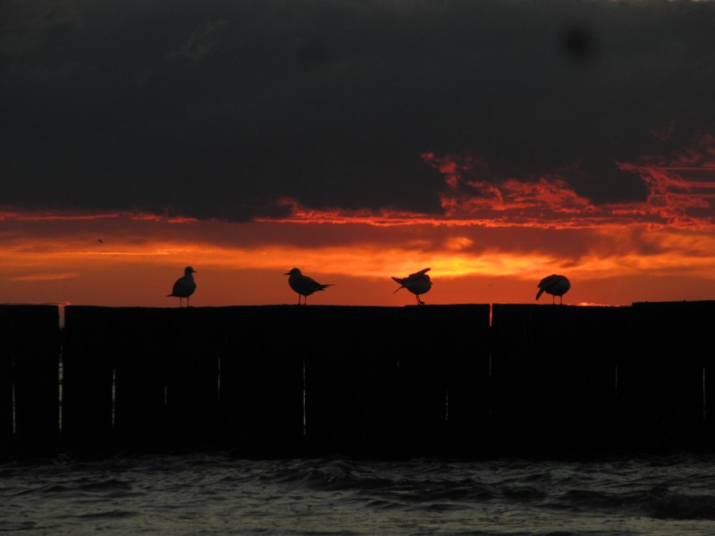 Bilder vom Strand Kolberger Deep 5