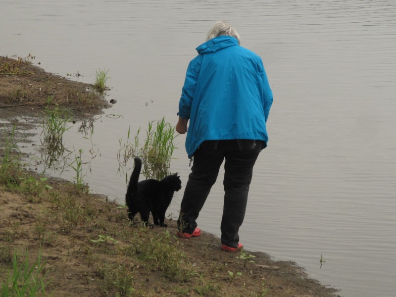 Spaziergang mit Kater