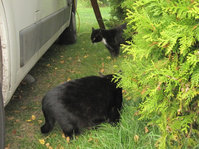 Leba Campingplatz 3